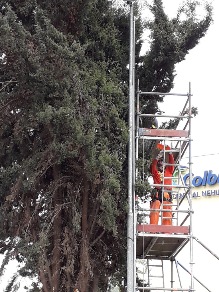 Poda en altura